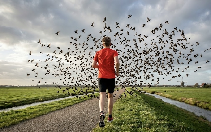 De onzichtbare dirigent